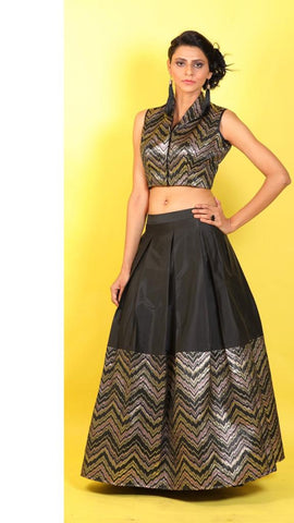 Indowestern Skirt Indowestern Skirt