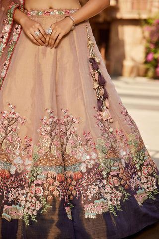 Net Lehenga Net Lehenga