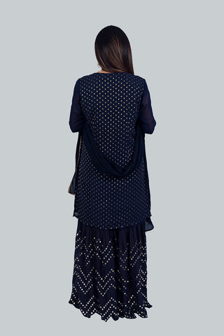 Indo Fusion Sharara Set Indo Fusion Sharara Set