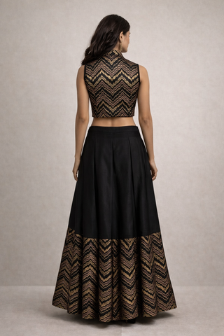 Indowestern Skirt