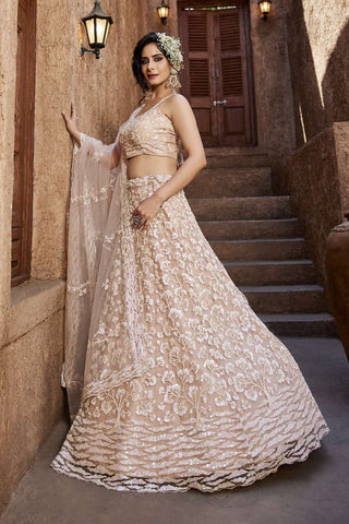 Pale Pink Lehenga
