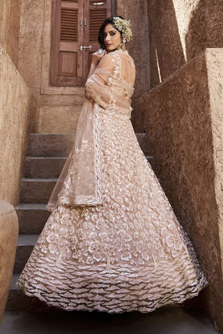 Pale Pink Lehenga