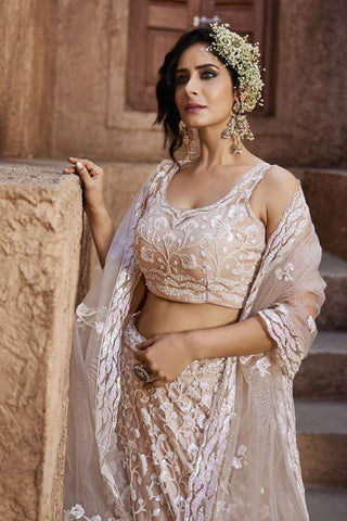Pale Pink Lehenga
