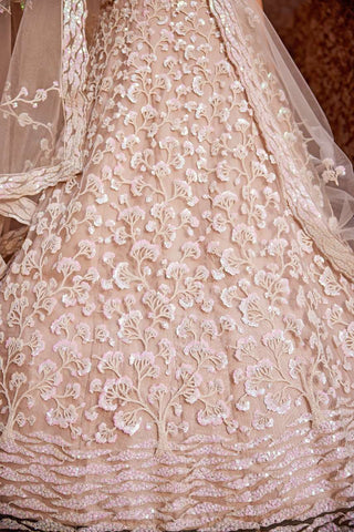 Pale Pink Lehenga