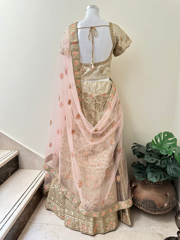 Indian Lehenga RYWDIV