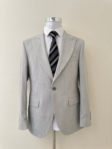 Light Grey Business Suit