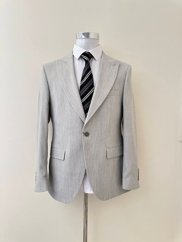 Light Grey Business Suit