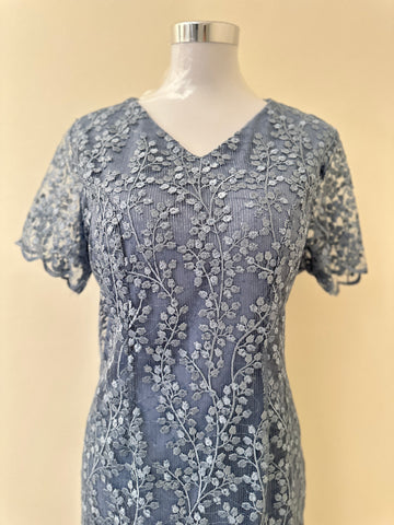 Plus Size Lace Dress