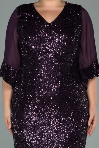 Plus Size Sequin Dress