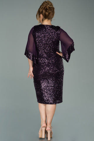 Plus Size Sequin Dress