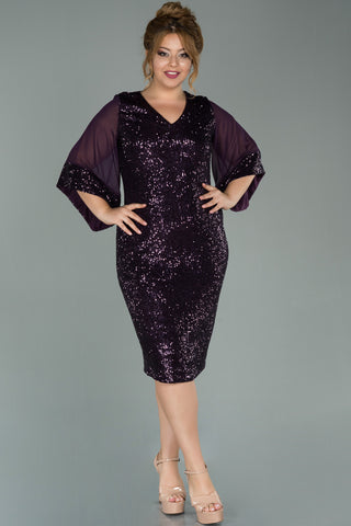 Plus Size Sequin Dress